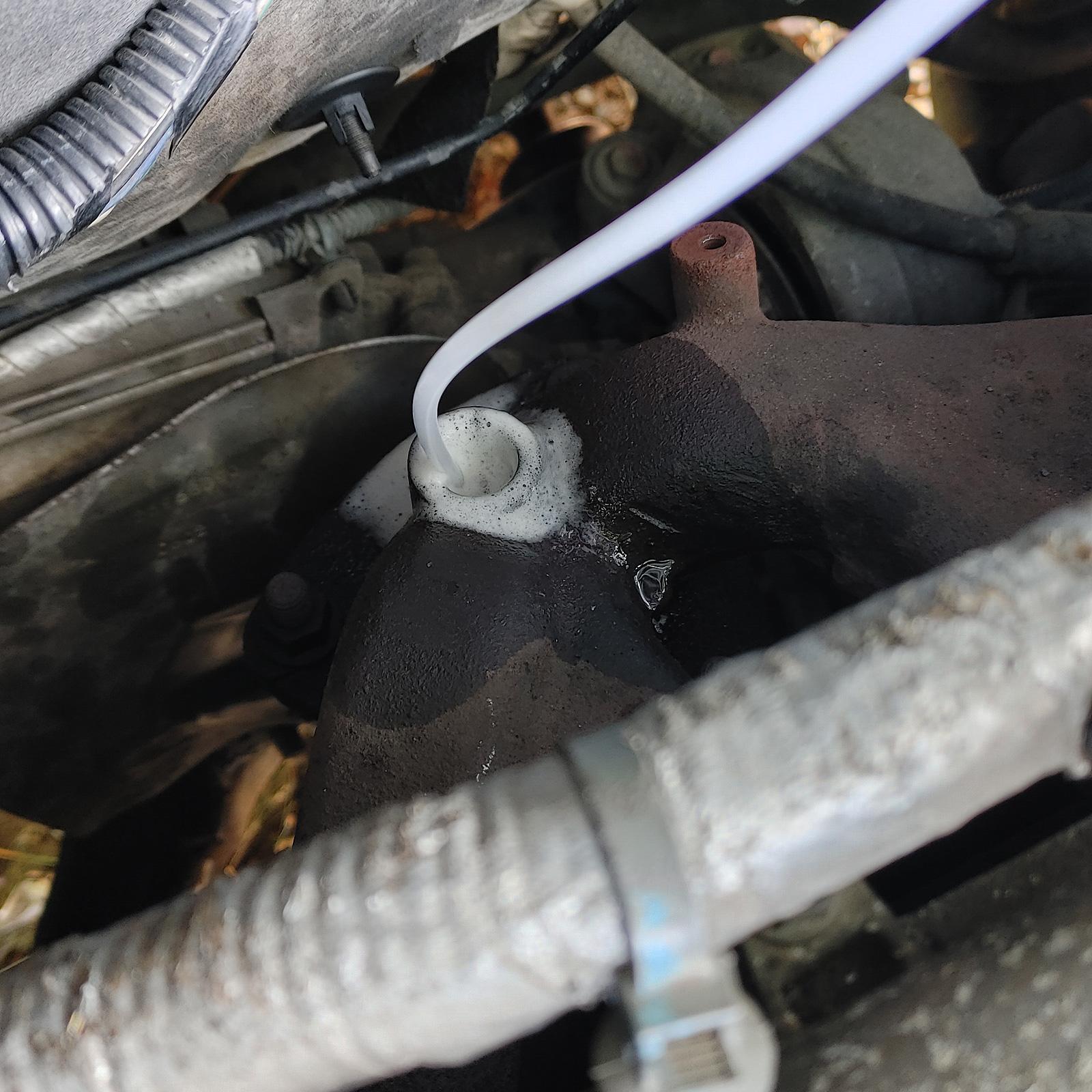 DPF-CAT.jpg