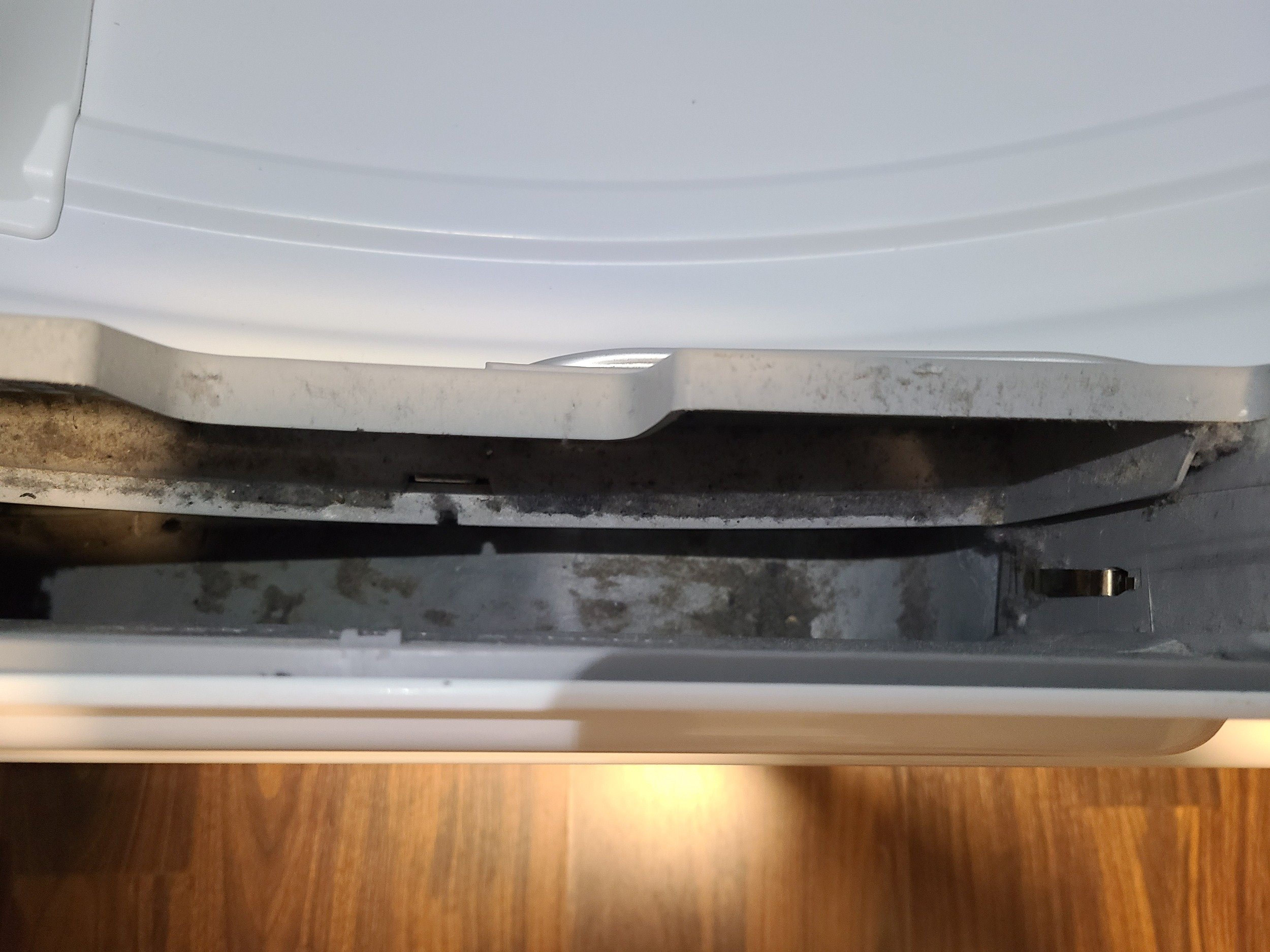 dryer lint.jpg