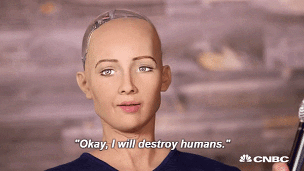 E24F5E43-C9E1-4277-8E47-B21F7385F6D7.gif