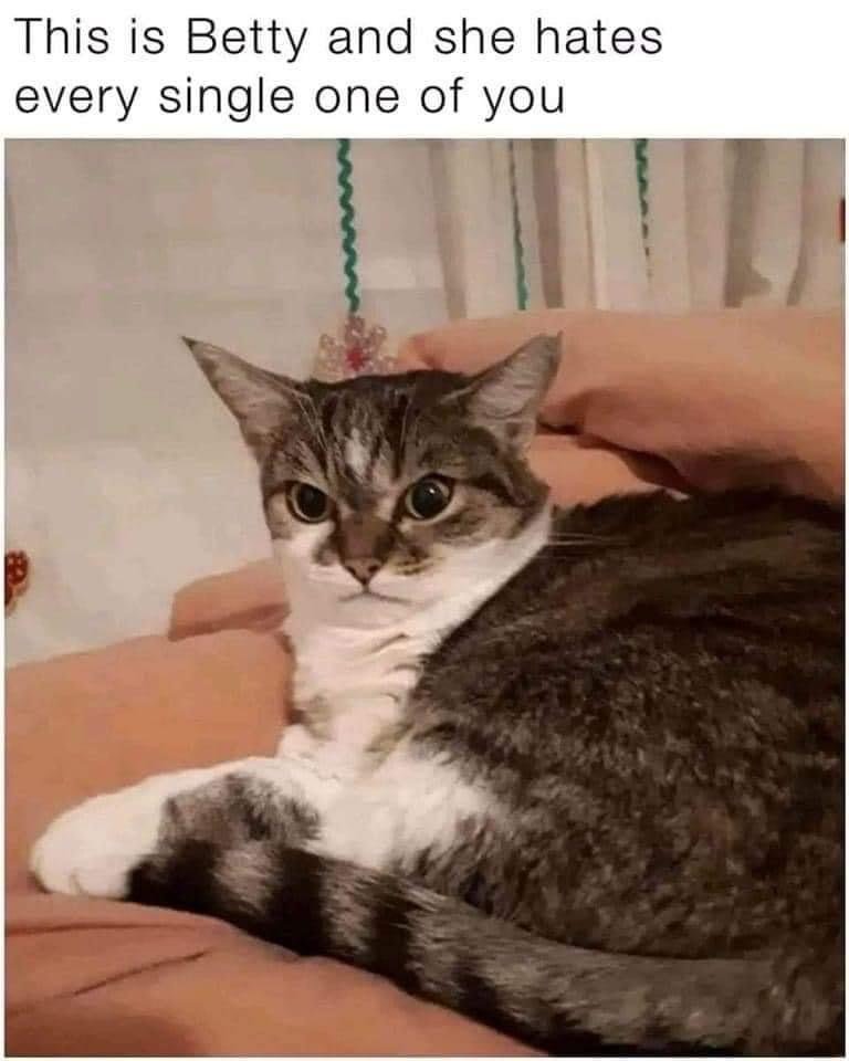 42632