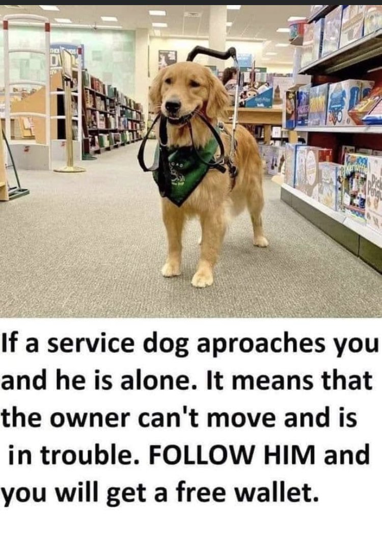 29143