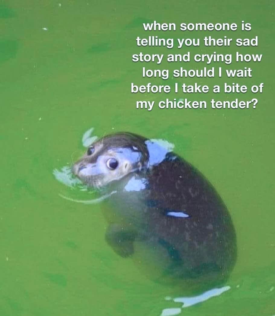 40717
