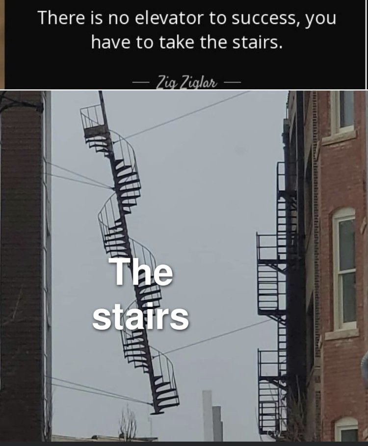 33546