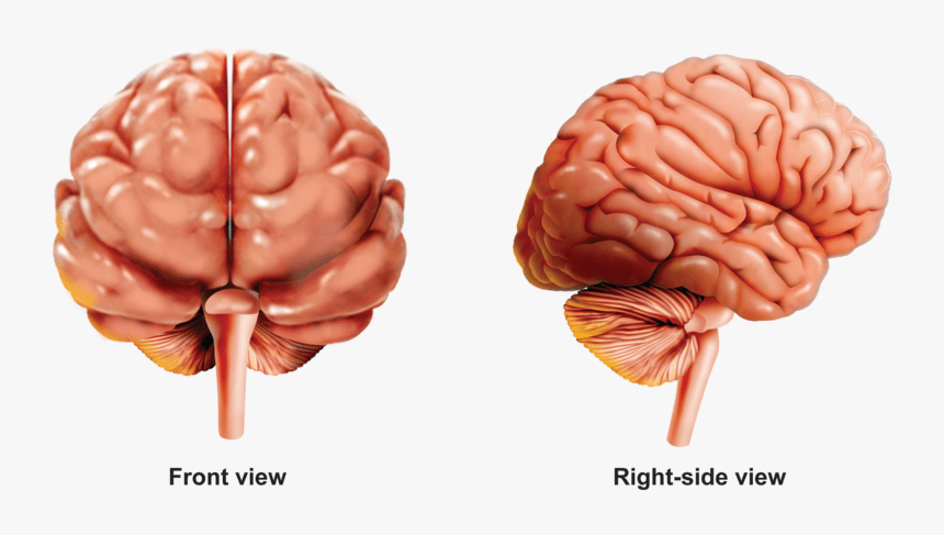 E998F817-96A7-41F0-B1EF-1D86EA661D38.png