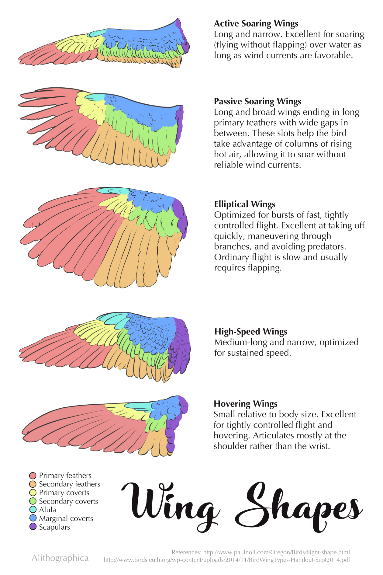 E9EC2E59-878D-44BE-94FE-CD865AD65D50.png
