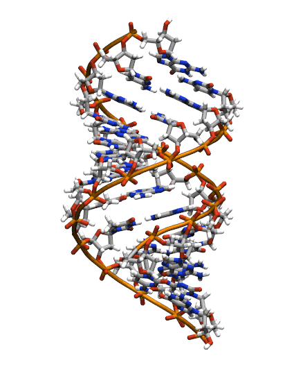 ECA7E0D9-1698-4F4D-8B99-875F46828C65.gif
