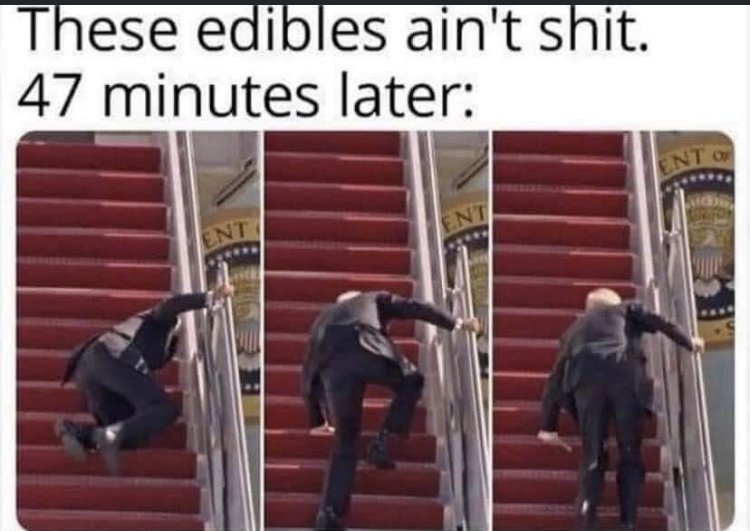 27438