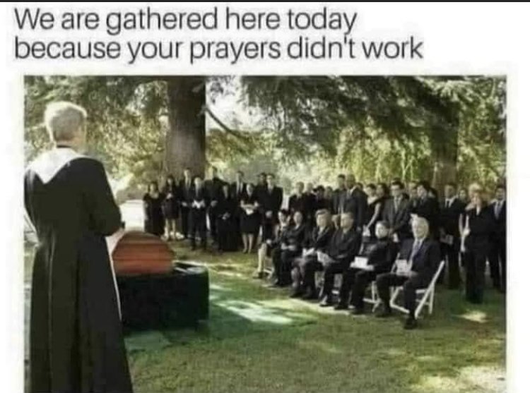 30049
