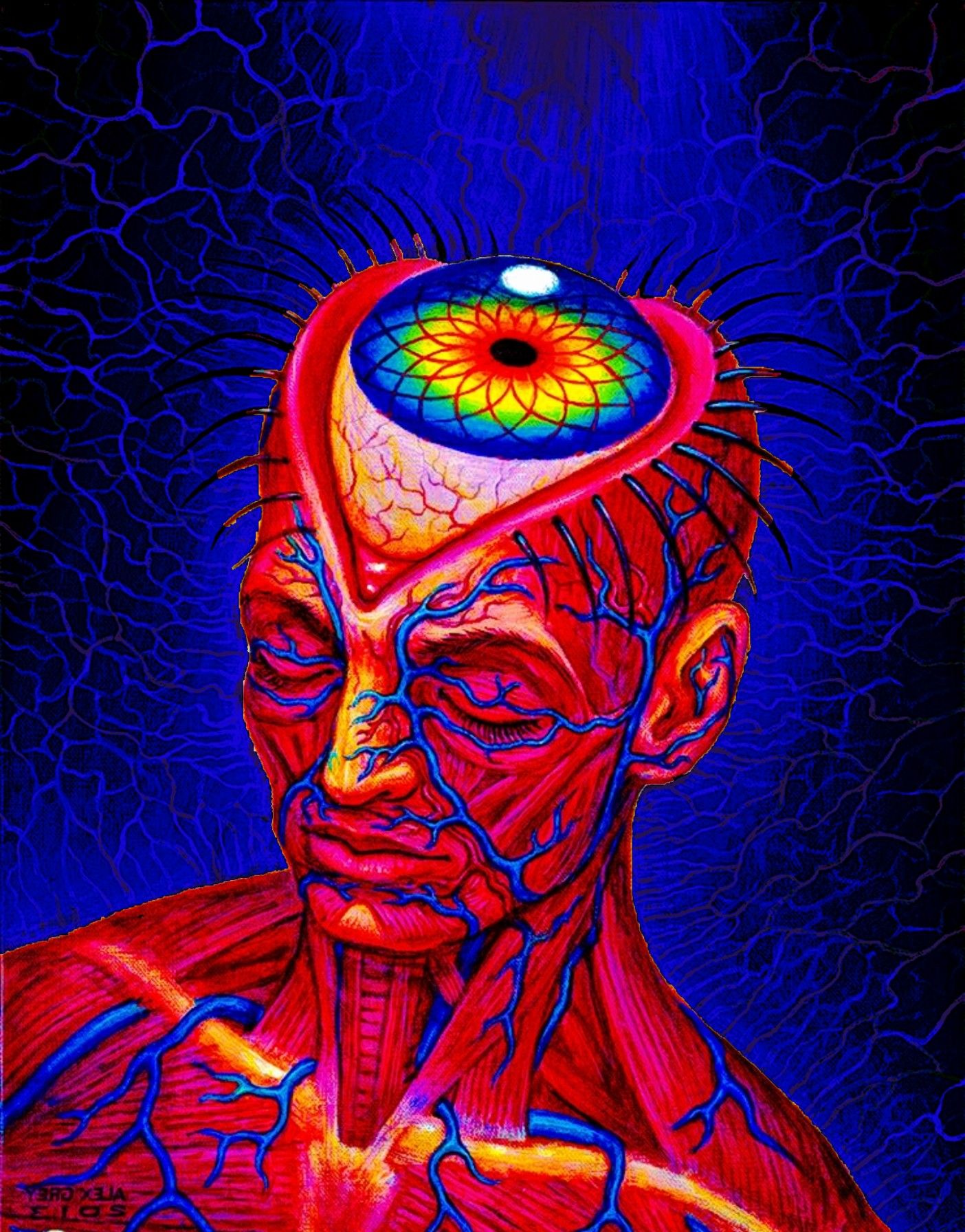 F591EEB8-6B0C-48B0-8A44-6FC87A532A5B.jpeg