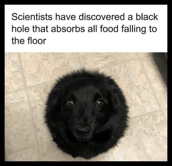 40465