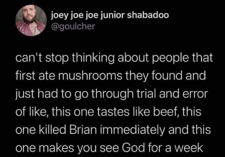 31383