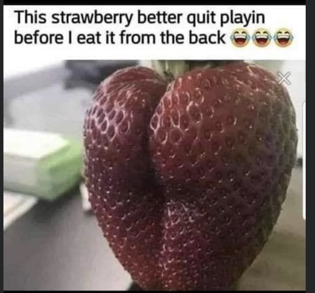 29134
