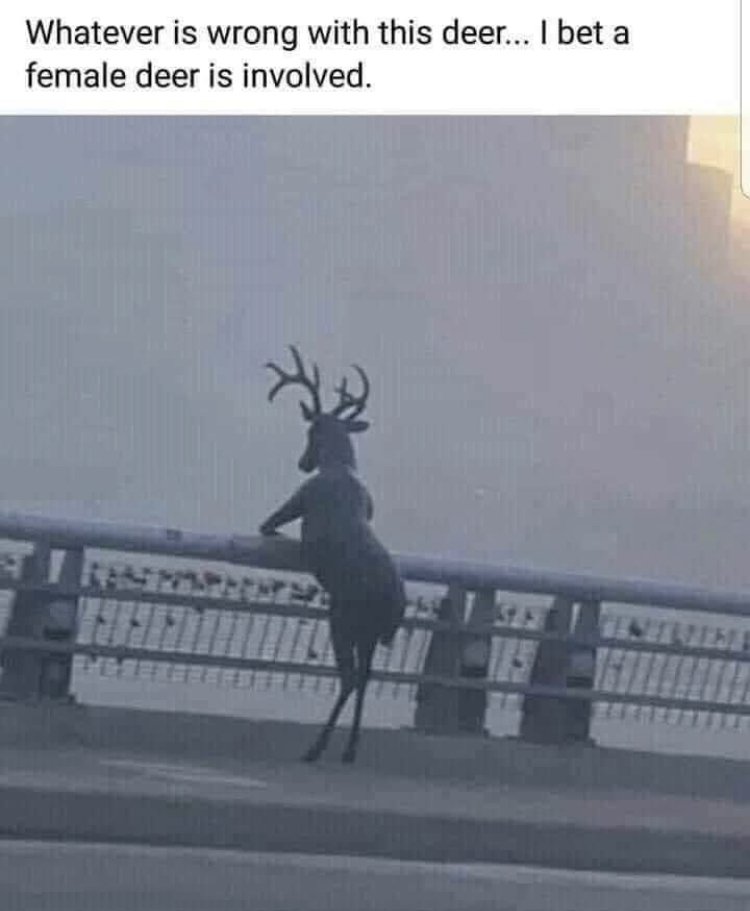 24604