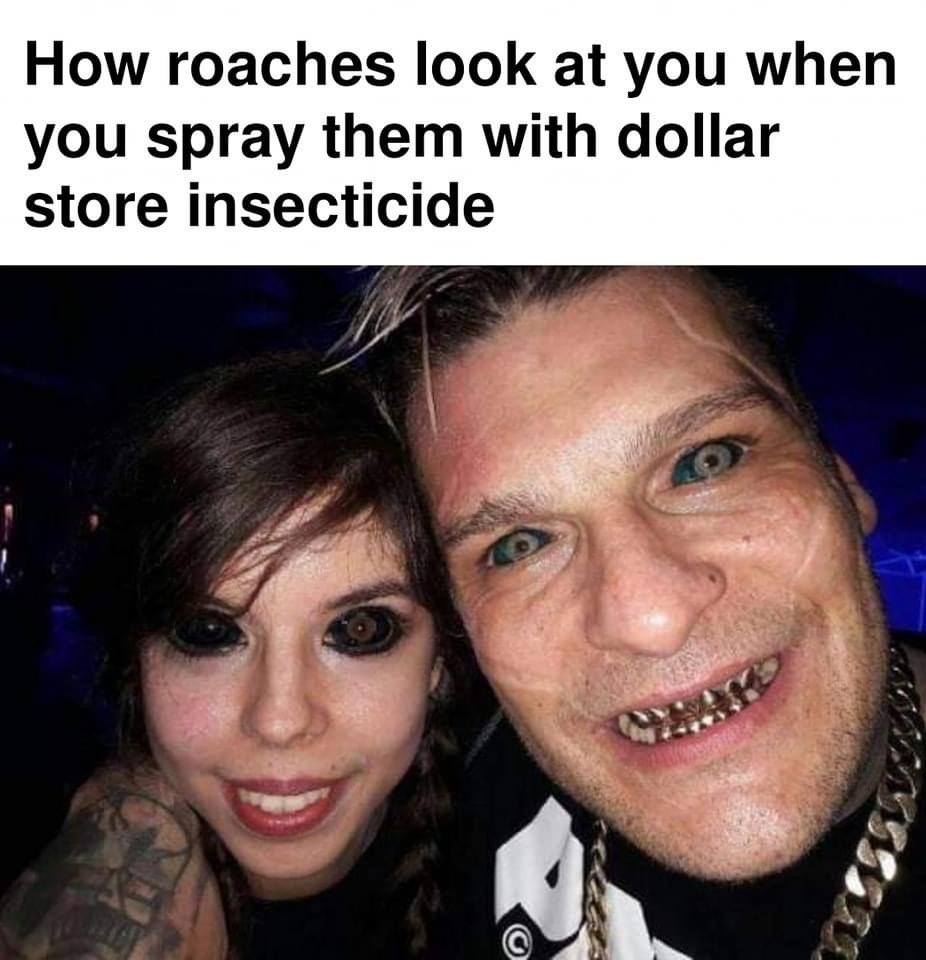 39254
