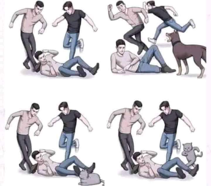 43299