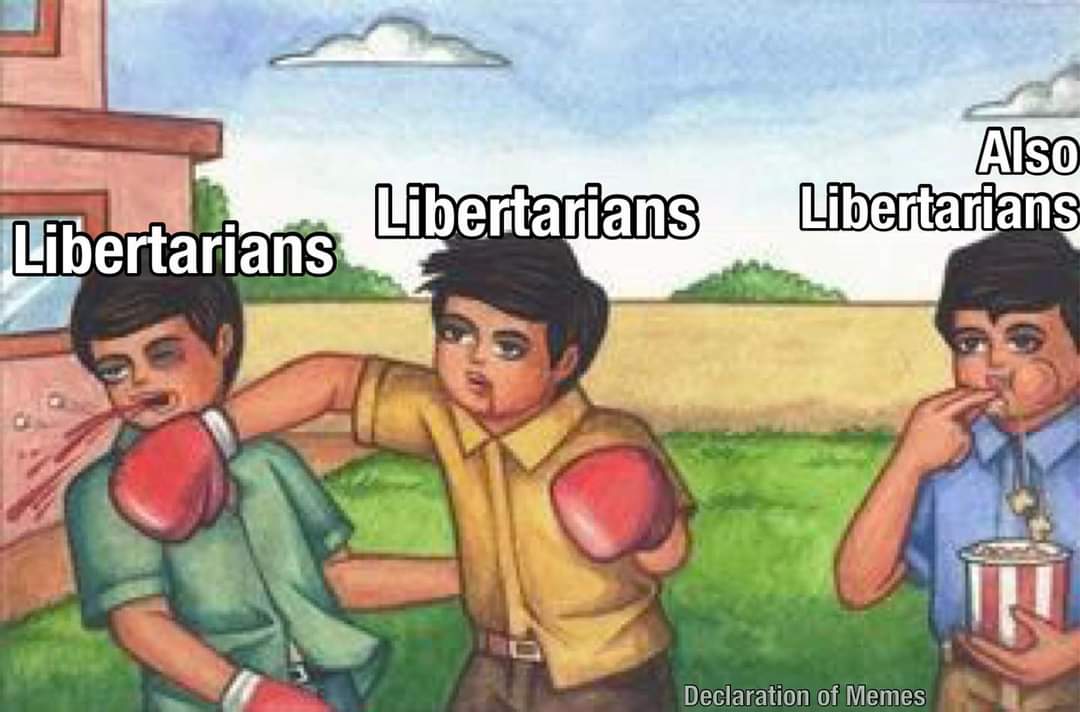 43589