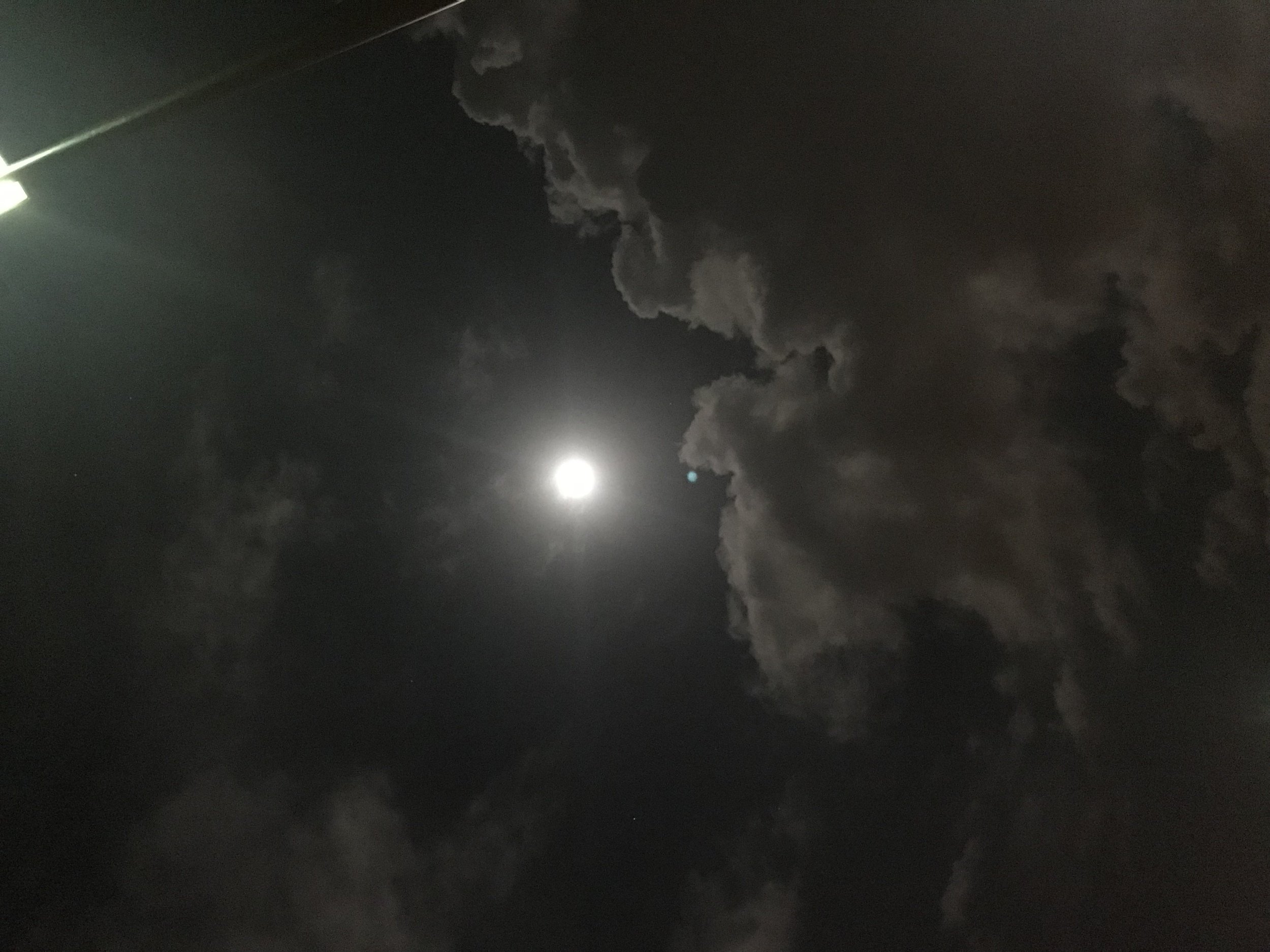 FD050B53-EB1D-4843-AF00-89AD231E824F.jpeg
