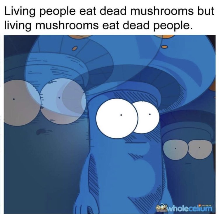 26275