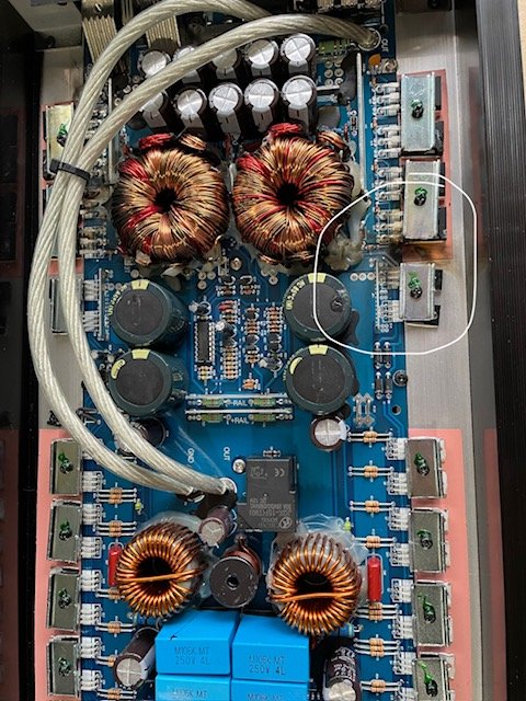 Fried Amp 2.jpg