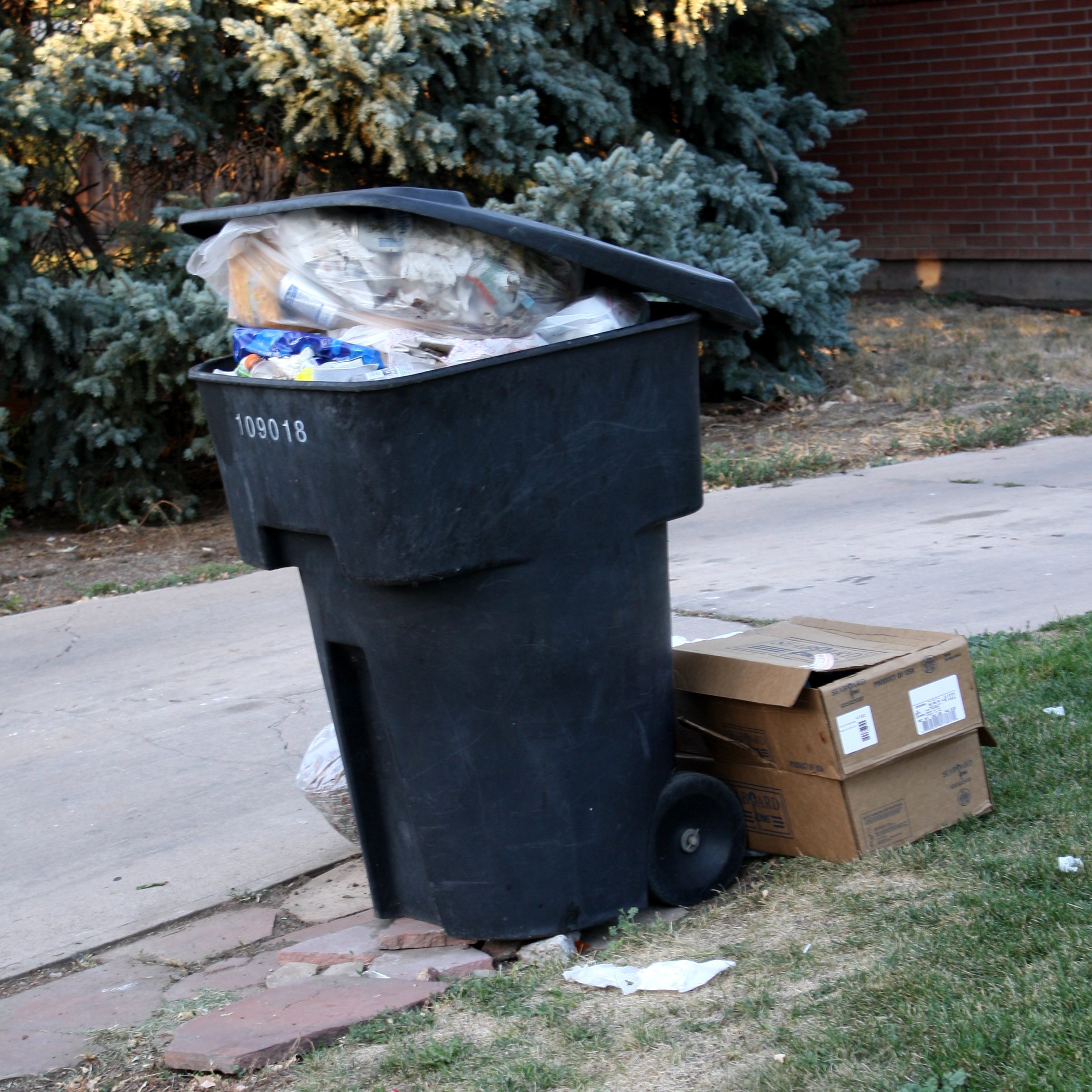 garbage with an S.jpg