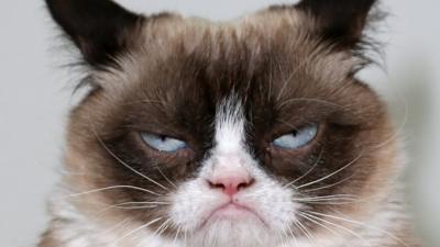 grumpy.jpg