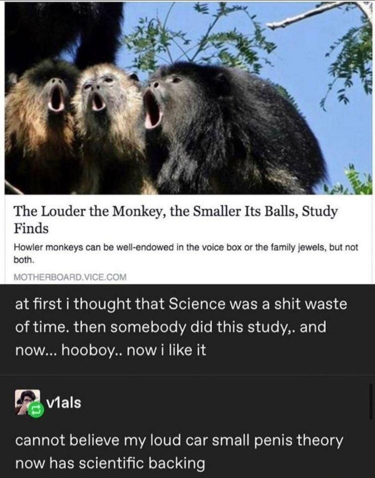 ha.jpg