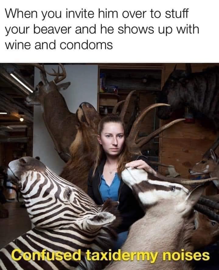 hahaha.jpg