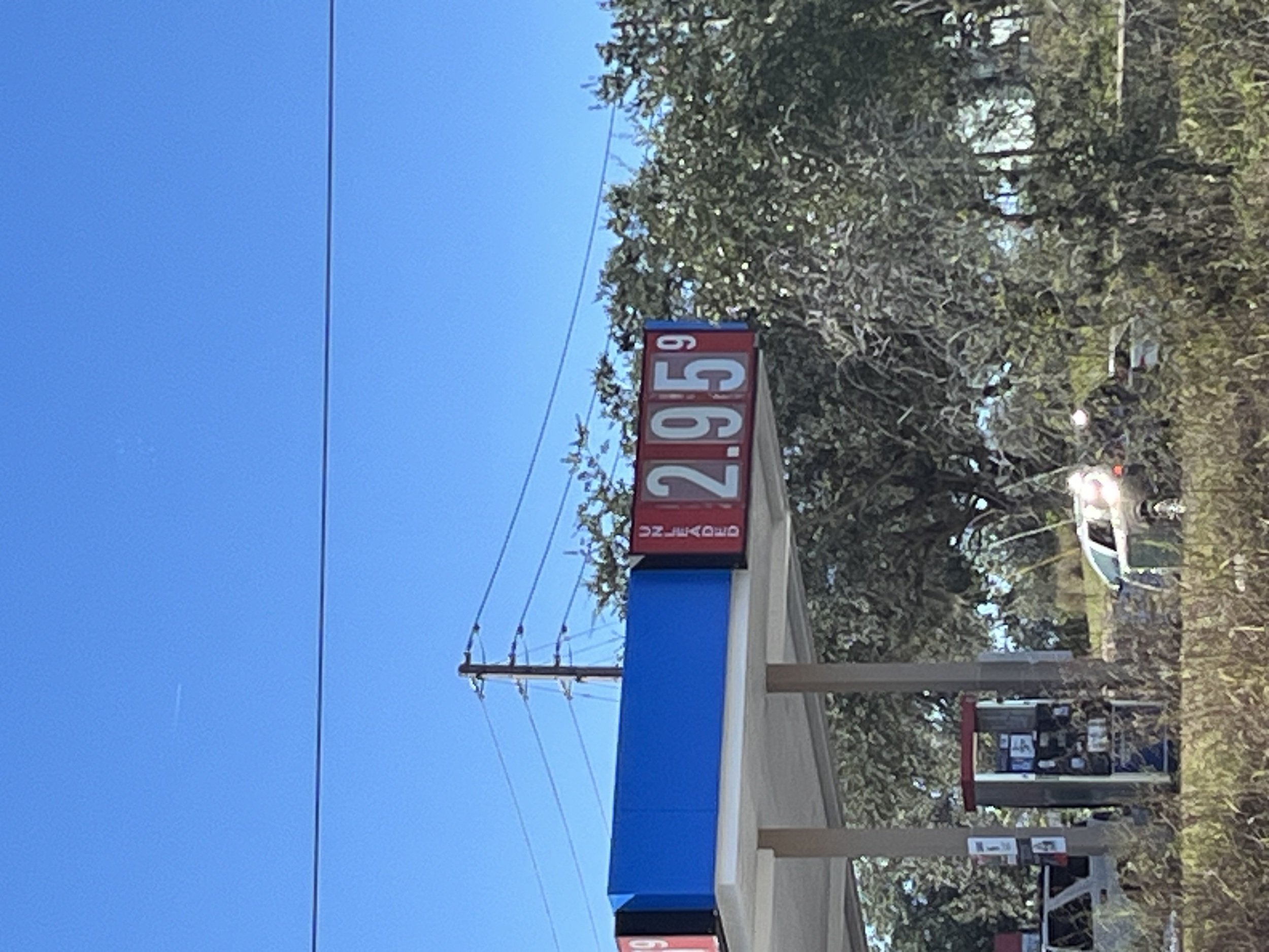 IMG_1410.jpeg