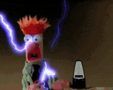 IMG_2033.gif