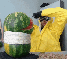 IMG_2518.gif