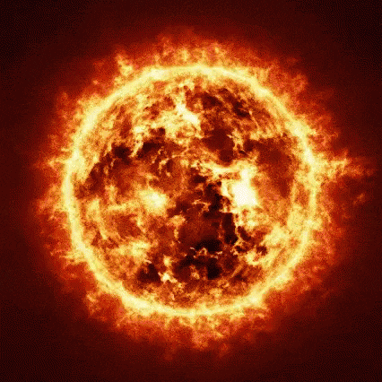 IMG_2657.gif