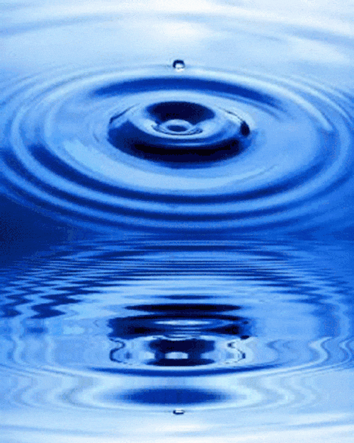 IMG_2788.gif