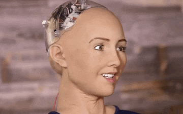 IMG_3944.gif