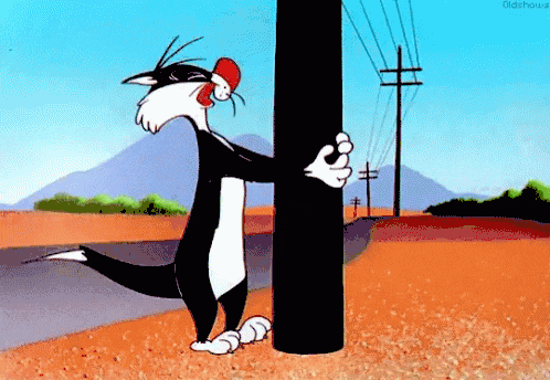 IMG_5351.gif