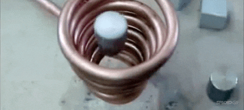 IMG_5649.gif