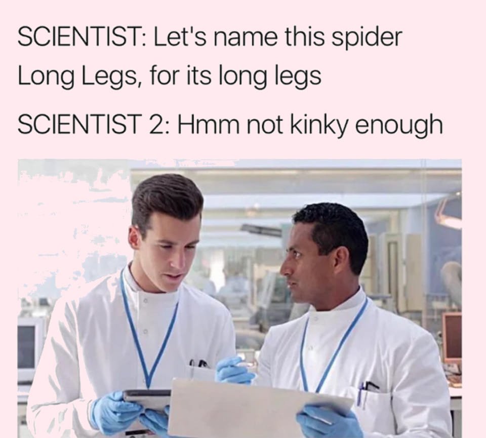 lol.jpg