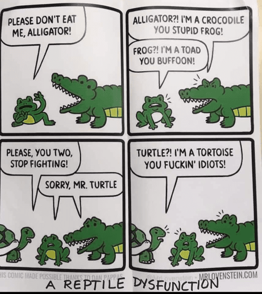 lol.png