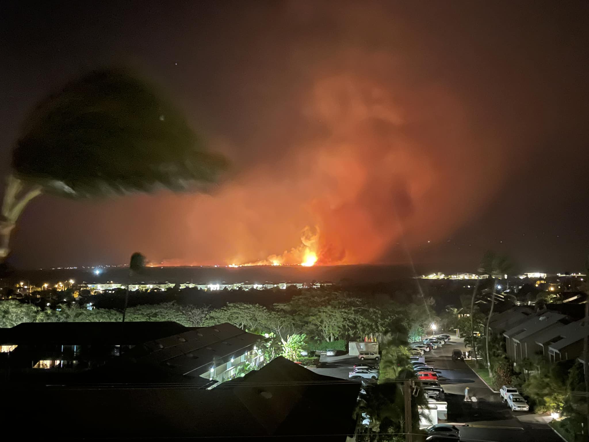 maui.jpg
