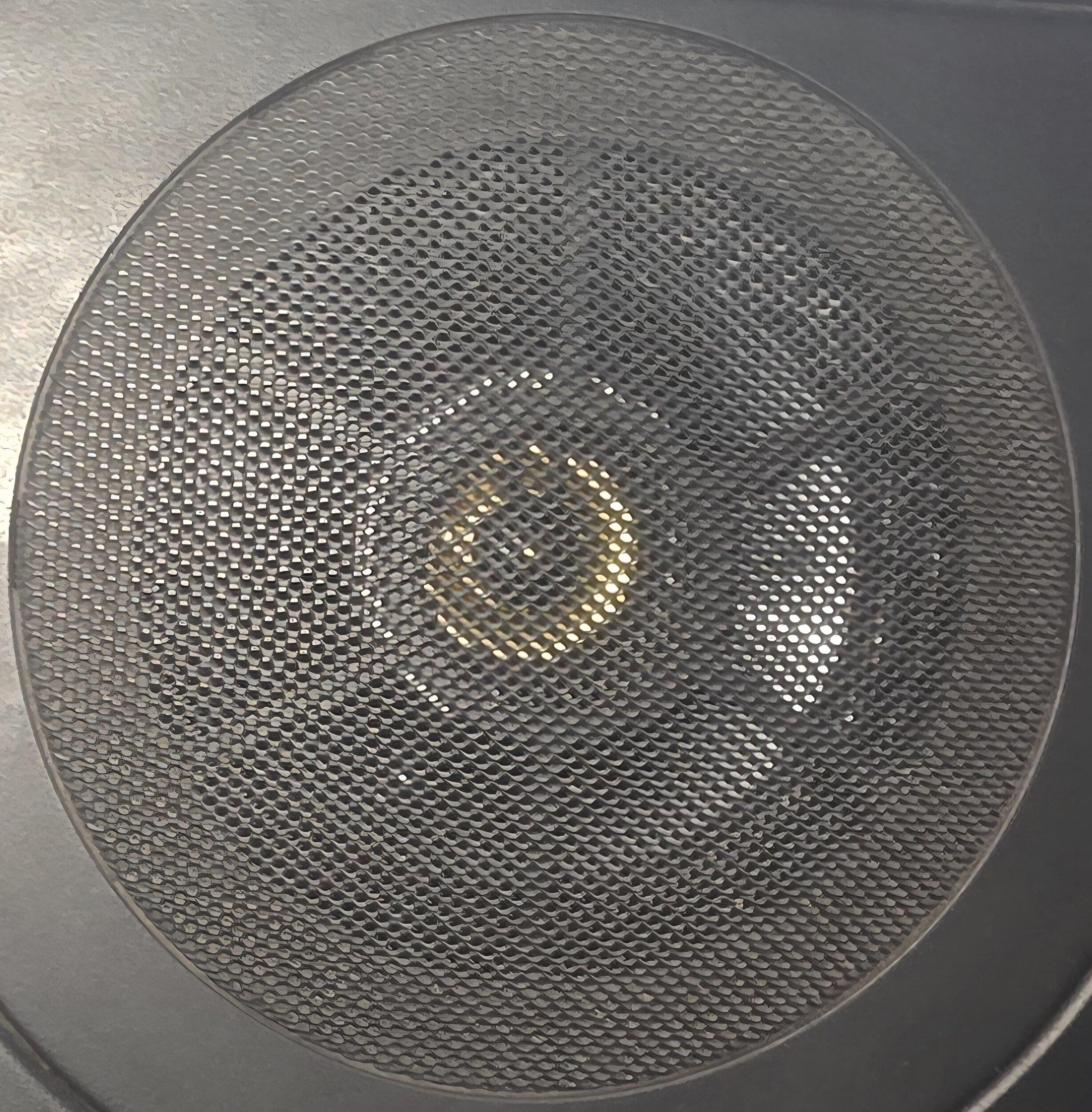 Rear Speaker.jpg