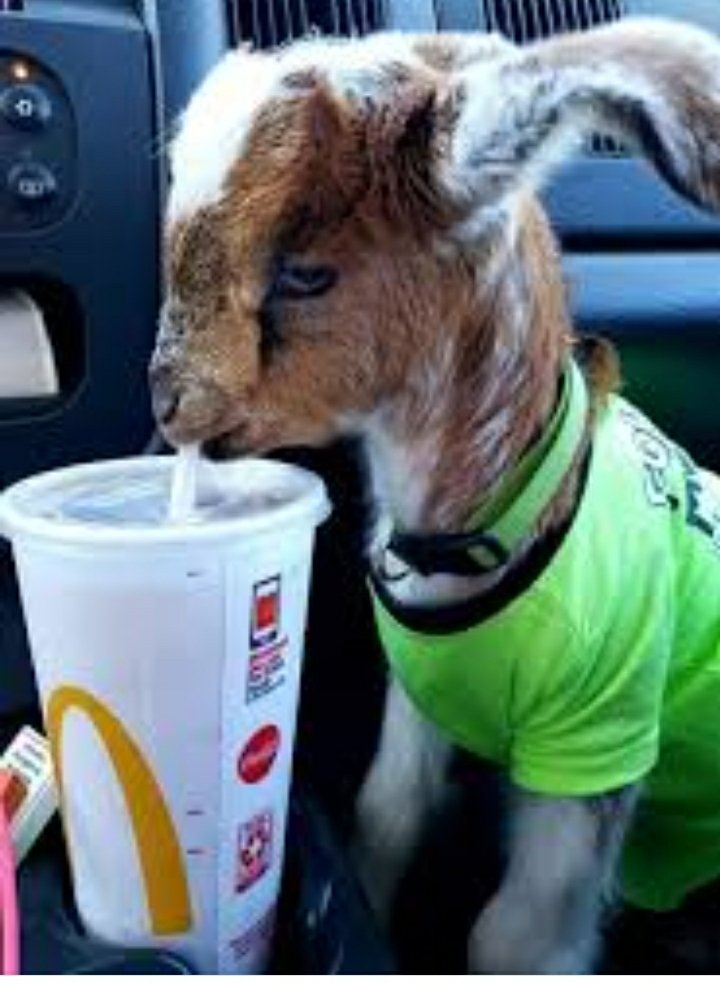 Screenshot_20220711-203425_Google.jpg