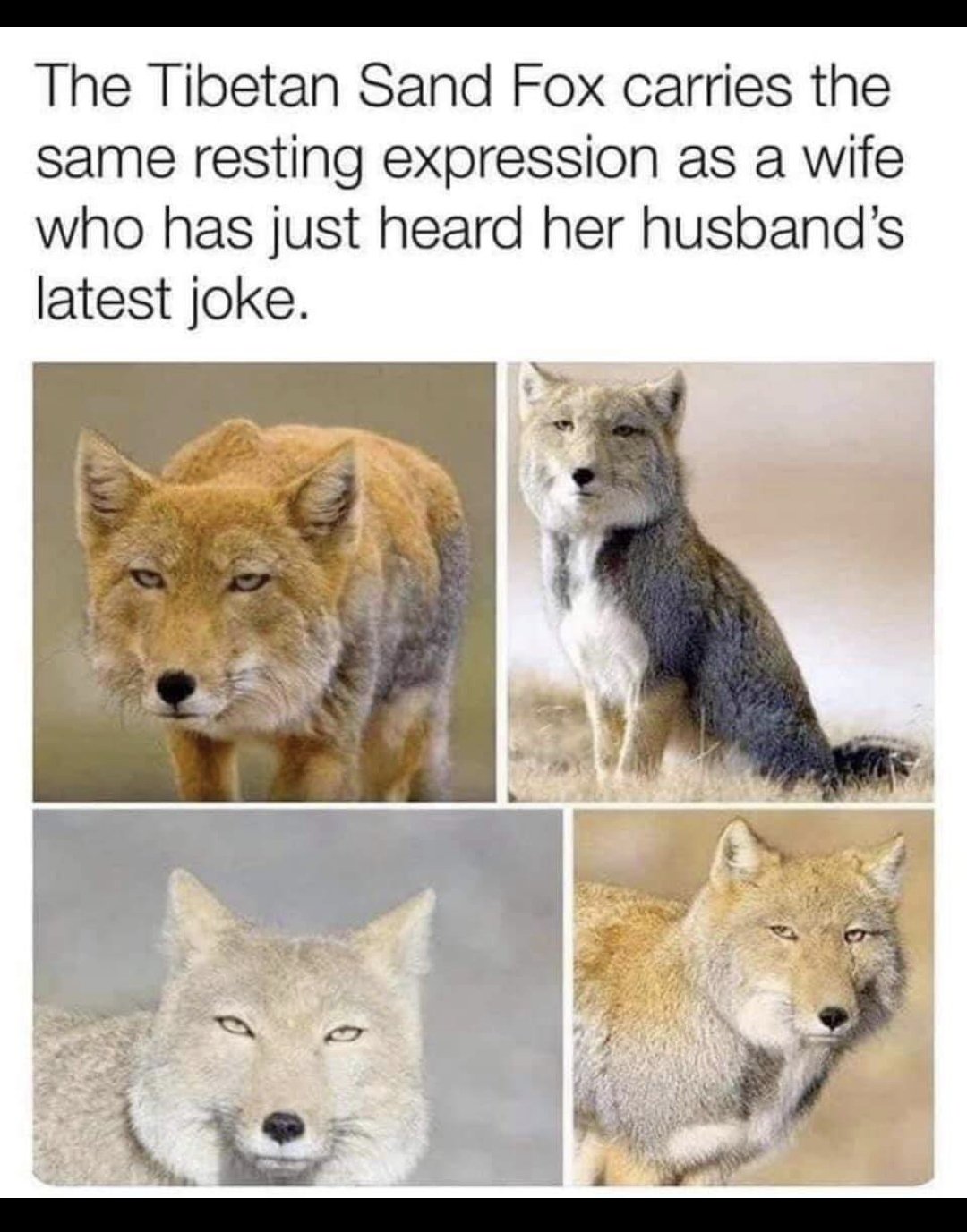42688