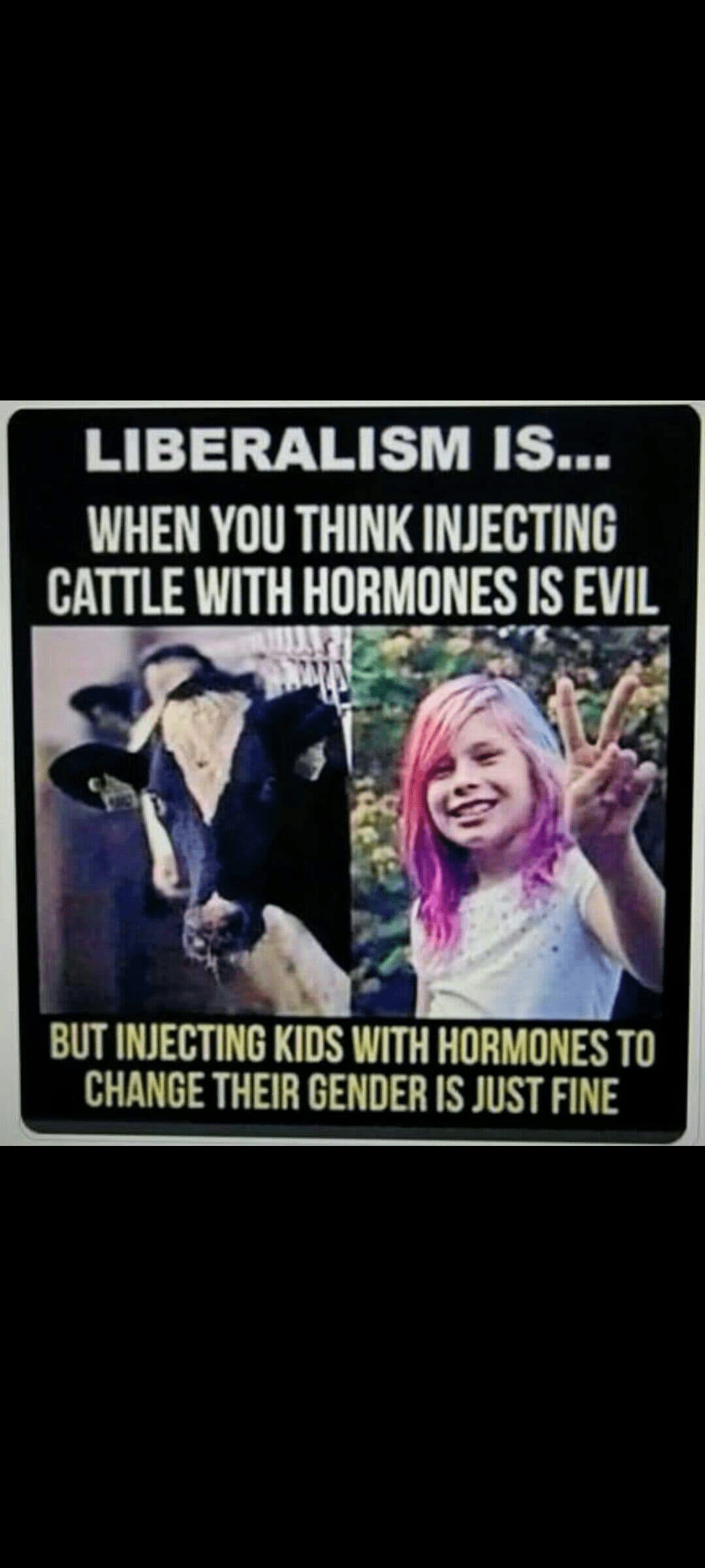 45694
