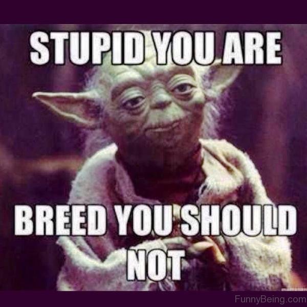 Stupid-You-Are.jpg