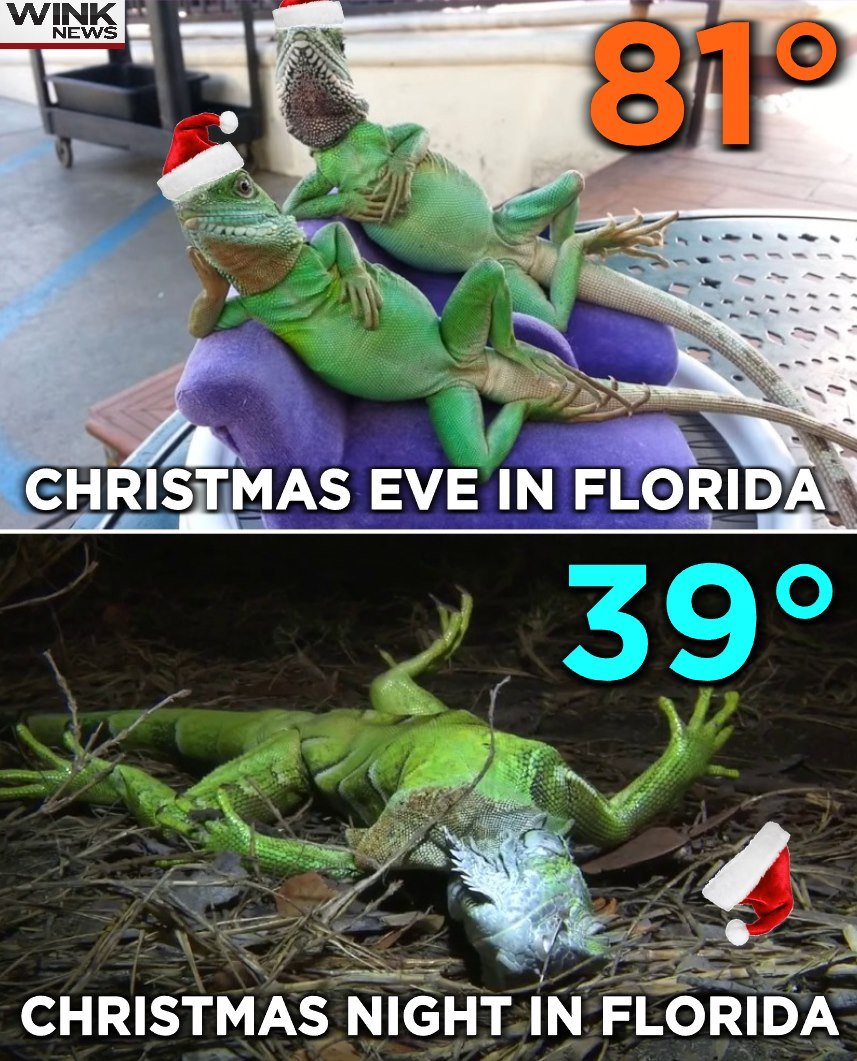 temp.jpg