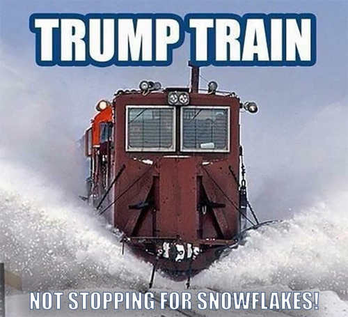 trump-train-no-stopping-for-liberal-snowlakes.jpg