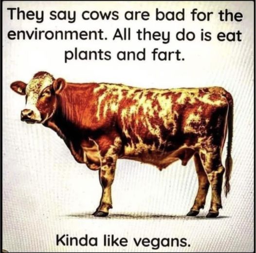 vegans are bad.jpg