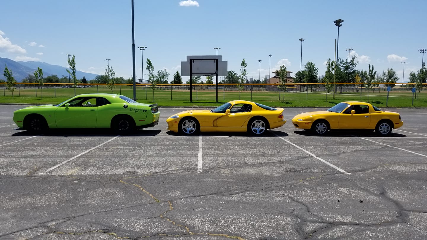 viper.jpg