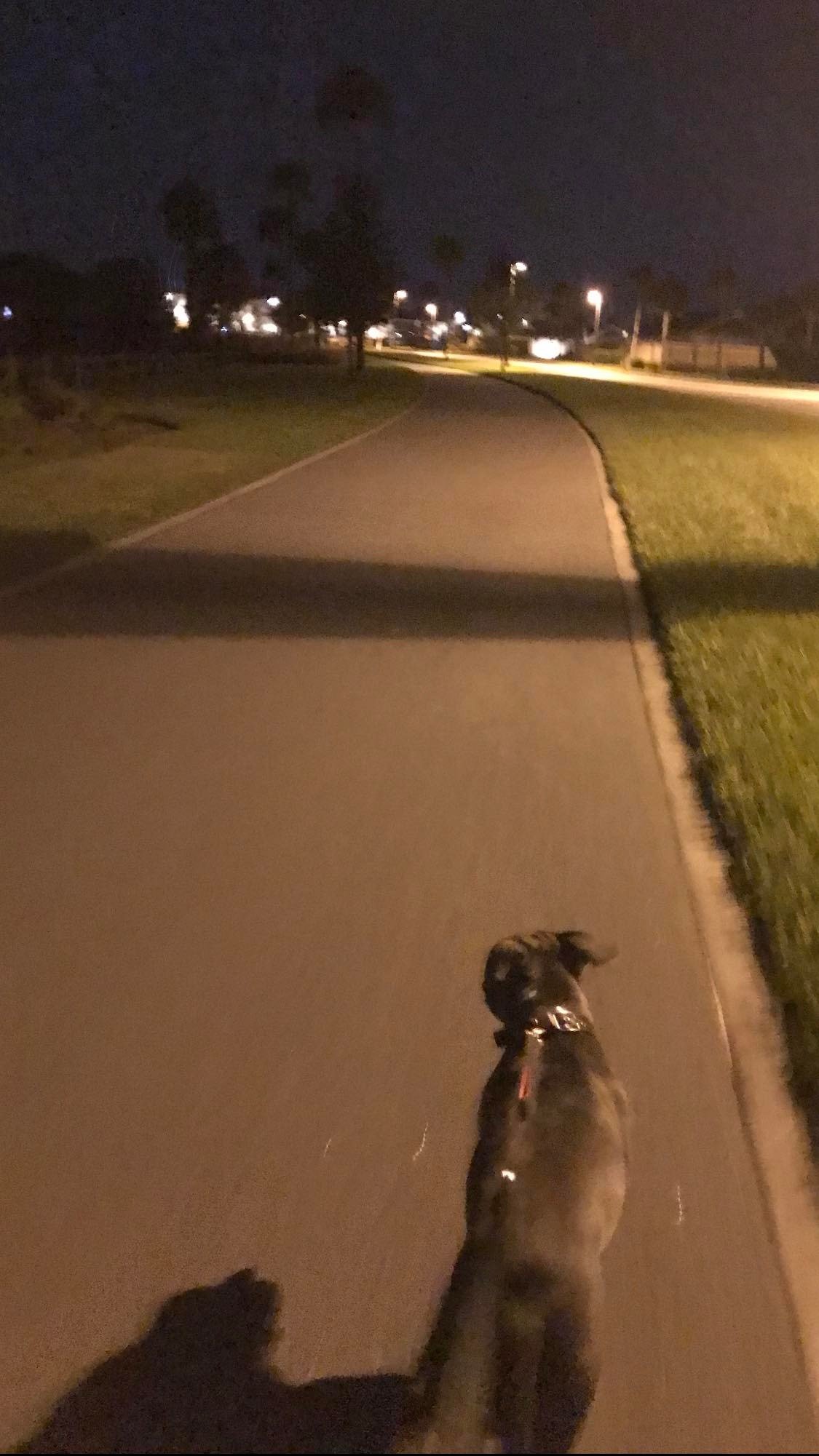 walk.jpg