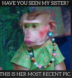 sister seen her.jpg