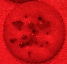 0D05D7F1-E549-4A8F-B39B-7E039637AE56.jpeg